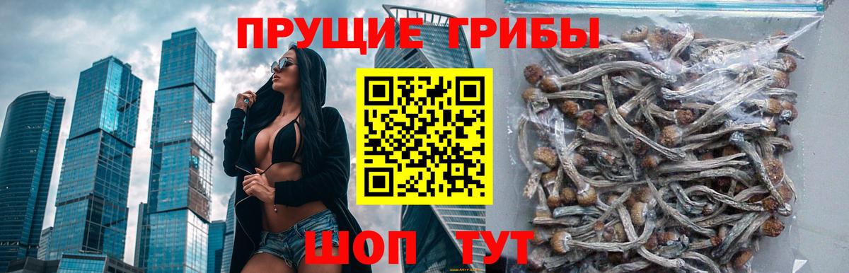 Галлюциногенные грибы мицелий  Вход с VPN  Галлюциногенные грибы ЛСД  Сосновый Бор 