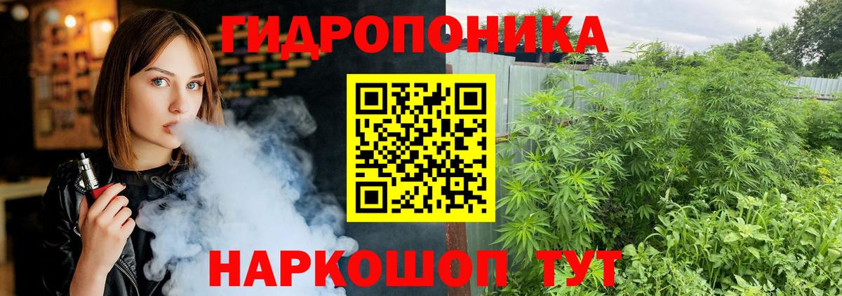 Каннабис Ganja  Вход с VPN  Сосновый Бор  Конопля OG Kush 